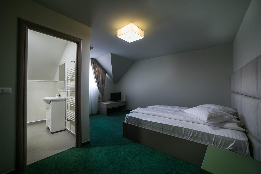 Casa Budisteanu Focşani エクステリア 写真